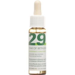 Phytomed Bachblüten No29 Dold Milchstern Flasche 10ml