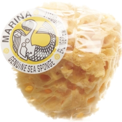 Marina natural sponge Venise 16cm