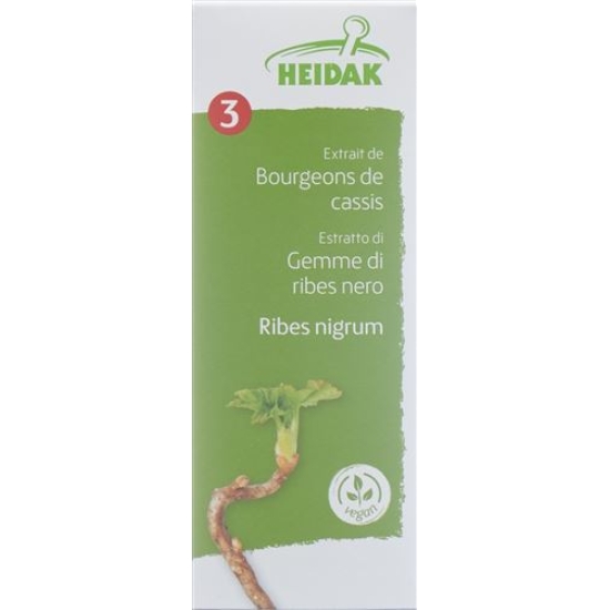 Heidak Knospe Johannisb Rib Nig Glyc Maz Flasche 500ml buy online