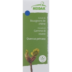Heidak Knospe Eiche Quercus Glyc Maz Flasche 500ml