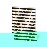 Herboristeria Notizbuch Black Lines/gold Leer