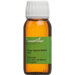 Sn Ribes Nigrum Bg Glyc Maz Dh 1 30ml