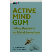 R&r Active Mind Gum 24 Stück