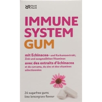 R&r Immune System Gum 24 Stück
