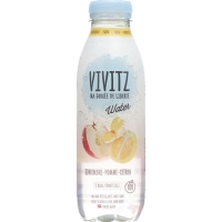 Vivitz Water Ingwer-apfel-zitrone 6 Flasche 0.5L