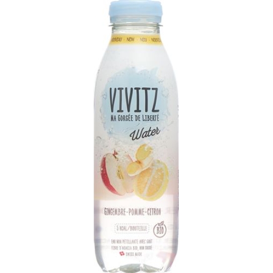 Vivitz Water Ingwer-apfel-zitrone 6 Flasche 0.5L buy online