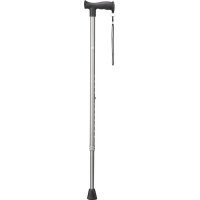 Vitility walking stick anthracite