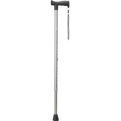 Vitility walking stick anthracite
