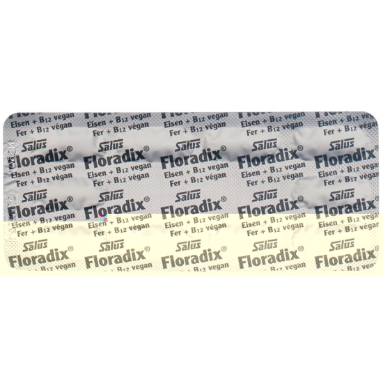 Floradix Iron + B12 Capsules Vegan 40 pieces buy online