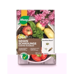 Sanoplant Neem Flasche 30ml