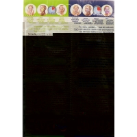 Face Food Gesichtsmaske Heidelbeer Zitron 2x 6ml