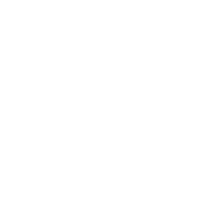 Rubis tweezers action painting oblique white inox