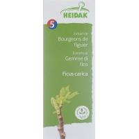 Heidak Knospe Feige Ficus Glyc Maz Flasche 30ml