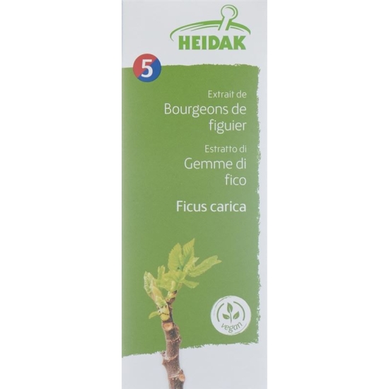 Heidak Knospe Feige Ficus Glyc Maz Flasche 30ml buy online