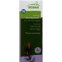 Heidak Knospe Bergkief Pinu Mon Glyc Maz Flasche 30ml