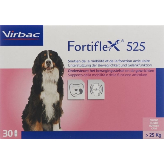 Fortiflex Tabletten 525mg Blister 30 Stück buy online