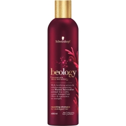 Beology Shampoo Repair 400ml