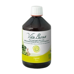 Vita Biosa Probiotic Ingwer Flasche 500ml