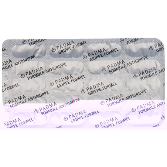 Padma Grippe-Formel Kapseln 60 Stück buy online
