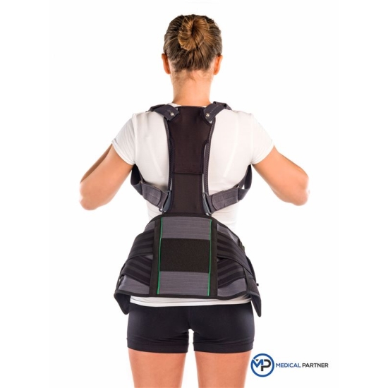 Braceid Spineboard Splint Grösse 51 buy online
