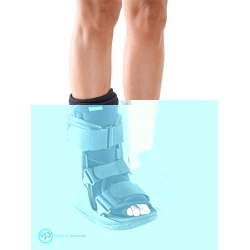 Braceid Short Regular Walker - Std Line M (39-43)