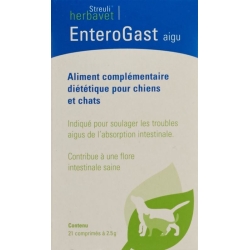 Enterogast Akut Tabletten Dose 21 Stück