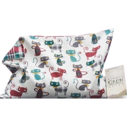 Sky green grape seed cushion 30x20cm cat/check