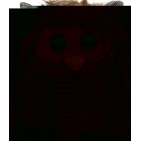 Sänger Hot-water bottle natural rubber plush 0.8L owl