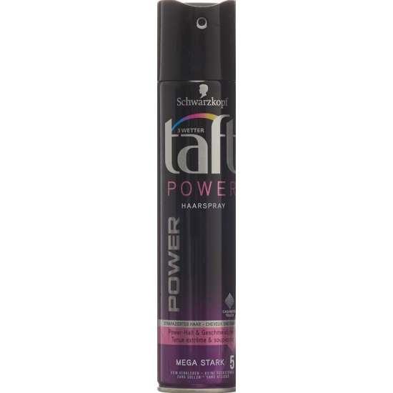 Taft Hairspray Power Cashmere Touch 250ml buy online