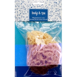 Herba natural sponge small