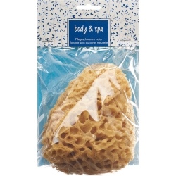 Herba natural sponge big