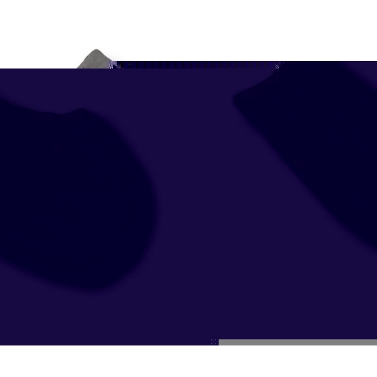 Swell Spots Brust Pad S A-b Cup Beutel buy online