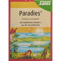 Salus Paradise tea organic with vitamin C bag 15 pieces
