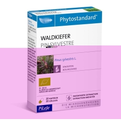 Phytostandard Waldkiefer Kapseln 20 Stück