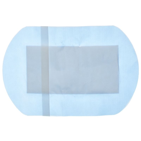 Flawa Aqua Plast Pflasterstrips Wasserfest 10x15cm 6 Stück buy online