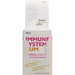 R&r Immune System Gum 10x 24 Stück