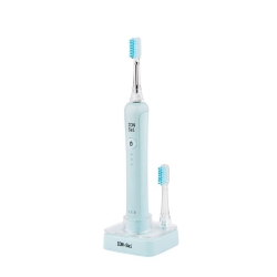 Ion Sei Ion Toothbrush Mint