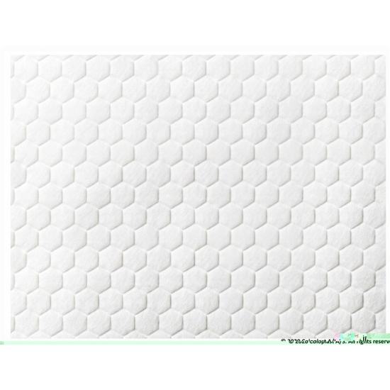 Biatain Fiber Gelier Faserverband 19x25cm 10 Stück buy online