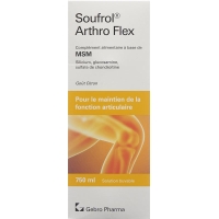 Soufrol Arthro Flex solution bottle 750ml