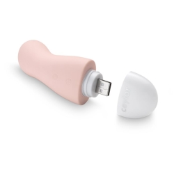 Ceylor Secret Lover Mini Vibrator