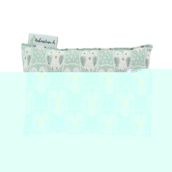 Herboristeria Chriesisteisack Owl Mint buy online