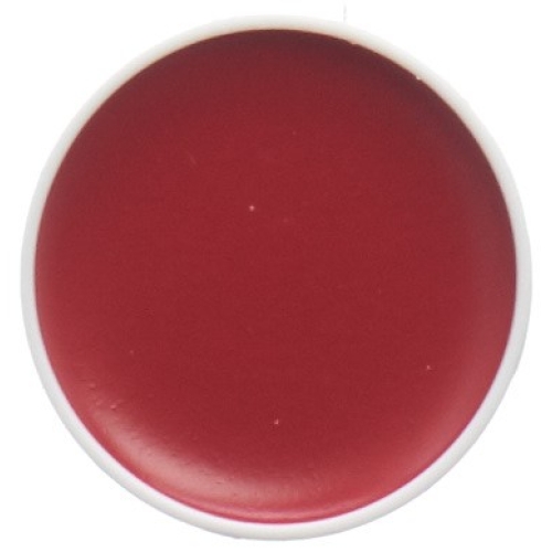 Carneval Color Aqua Schminkpalette Ref Rot 4ml buy online