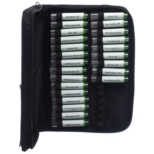 Spagyros family pharmacy case Glob C 30 multi-click 24 x 1 g