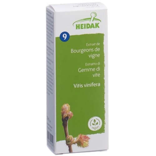 Heidak Knospe Weinrebe Viti Vin Glyc Maz Flasche 30ml buy online