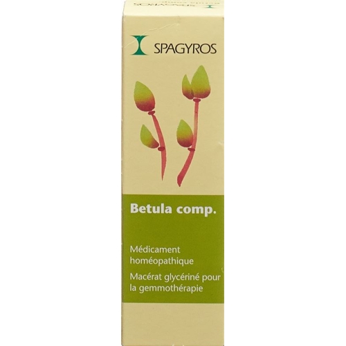 Spagyros Gemmo Betula comp Glyc Maz D 1 30 ml buy online