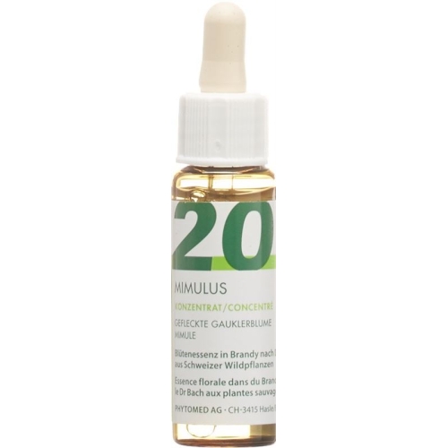 Phytomed Bachblüten No20 Gauklerblume Flasche 10ml buy online