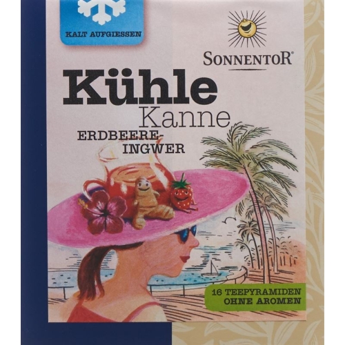 Sonnentor cool pot Teepyramiden strawberry ginger 16 pcs