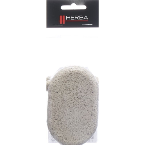 Herba pumice