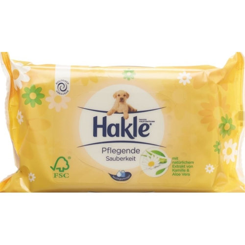 Hakle wet nurses Cleanliness Refill 42 pcs