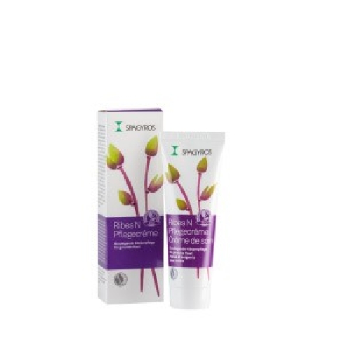 Spagyros Ribes N cream Tb 50 ml